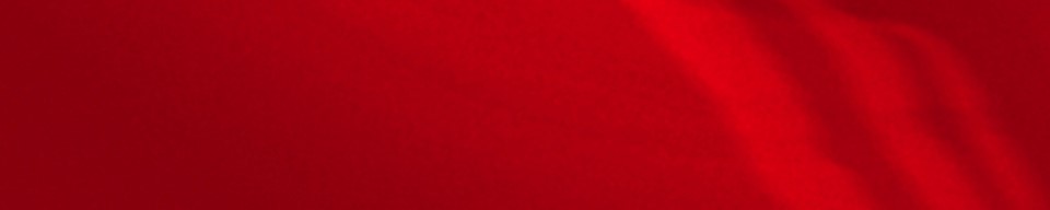 plpBackgroundgImg